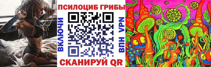 Галлюциногенные грибы GOLDEN TEACHER omg Томари